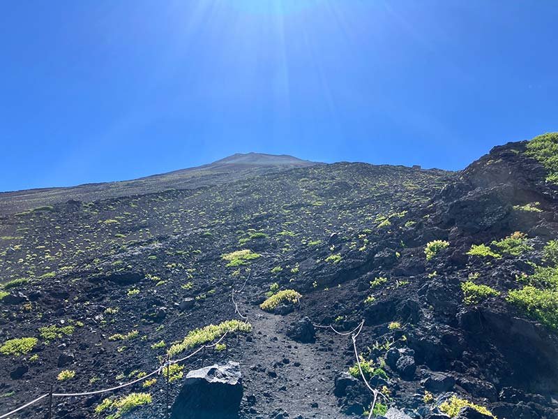 登山中の写真